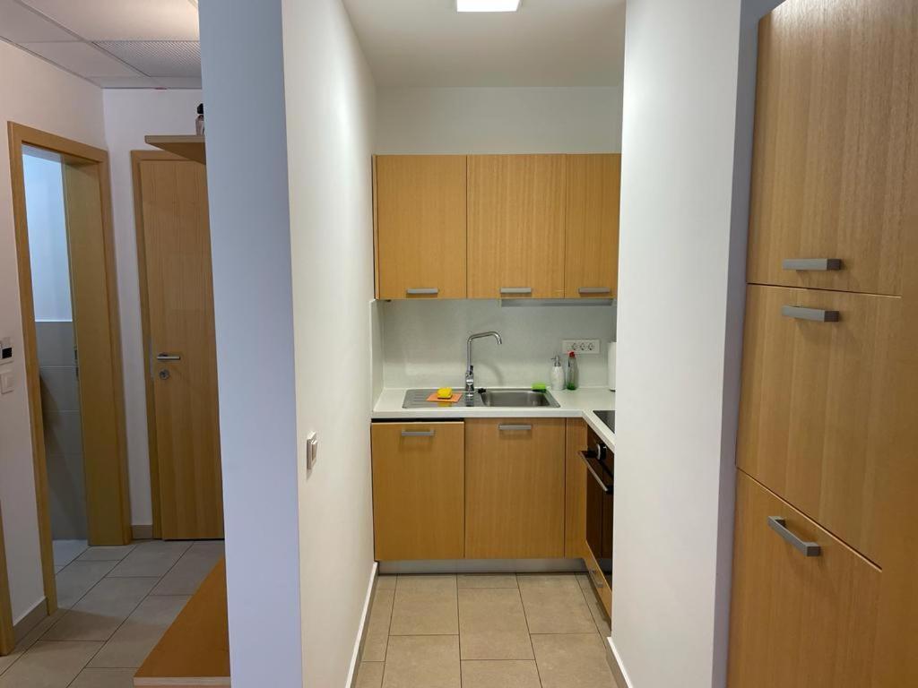 Apartmán Casa Brut Premium Free Parking Maribor Exteriér fotografie