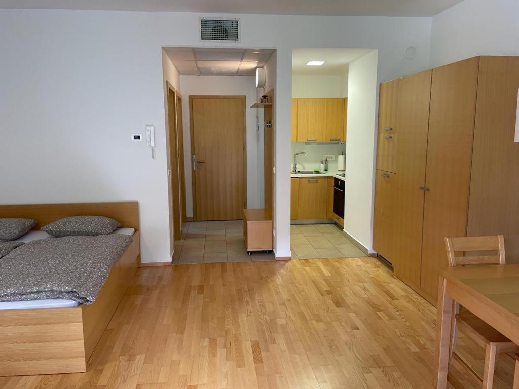 Apartmán Casa Brut Premium Free Parking Maribor Exteriér fotografie